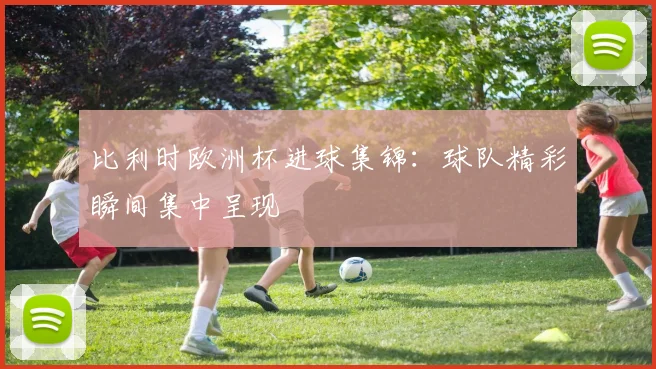 比利时欧洲杯进球集锦：球队精彩瞬间集中呈现
