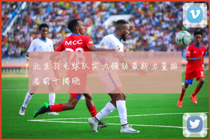 北京羽毛球队实力强劲最新力量排名前十揭晓